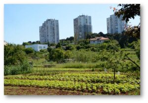 Destination area PULA