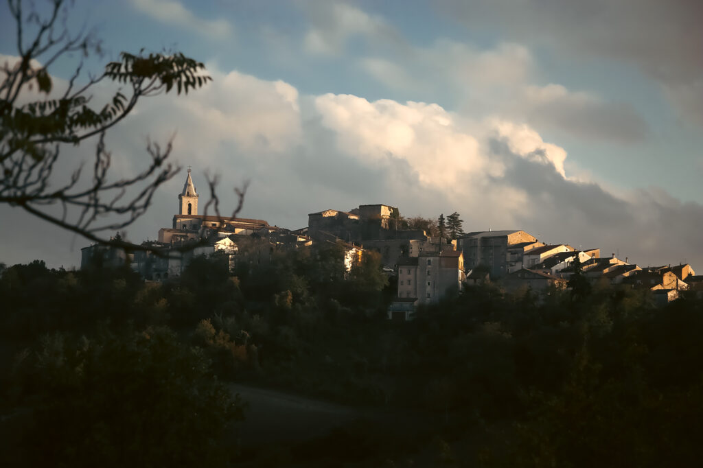 MONTAGANO TO CARE MED