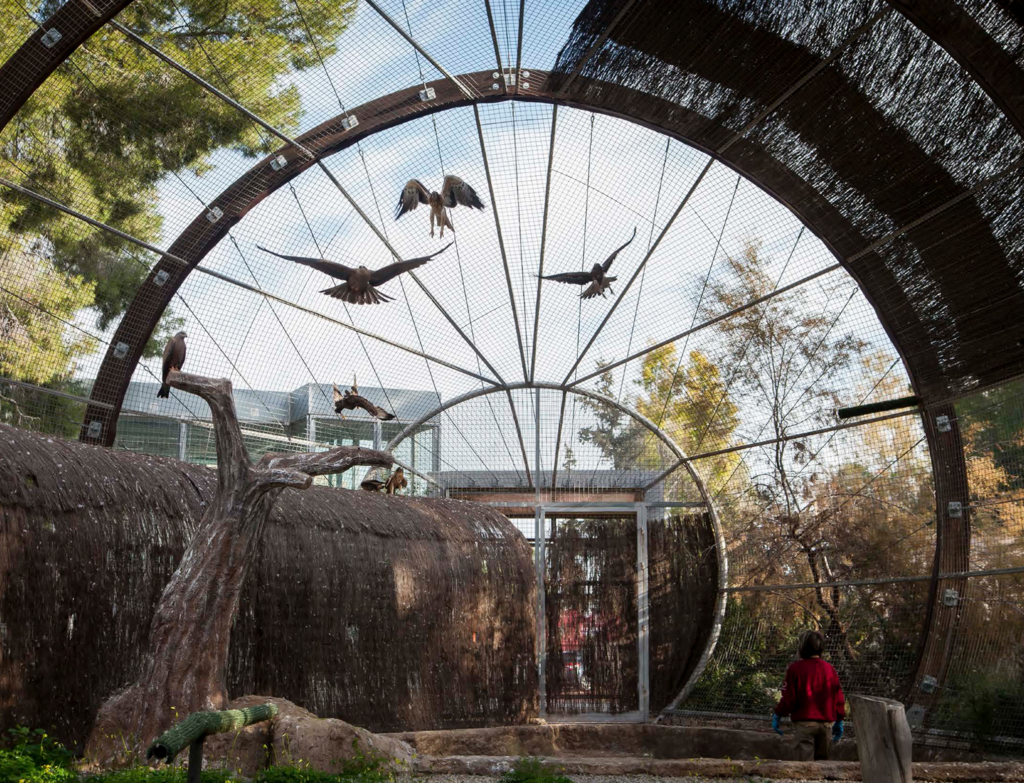 Recuperación Fauna, nature